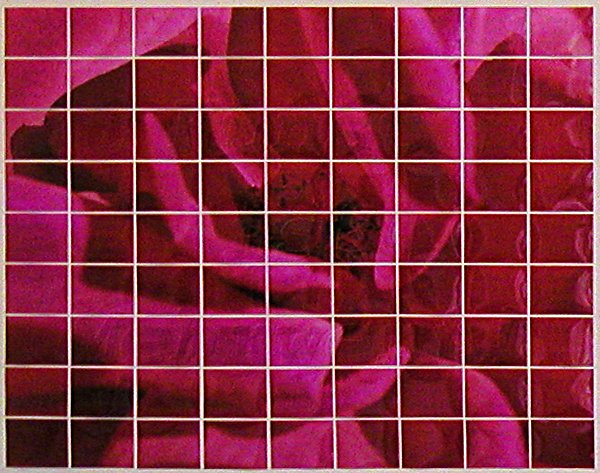 Bild "Aktuell:R31-Rose-2008-web.jpg"